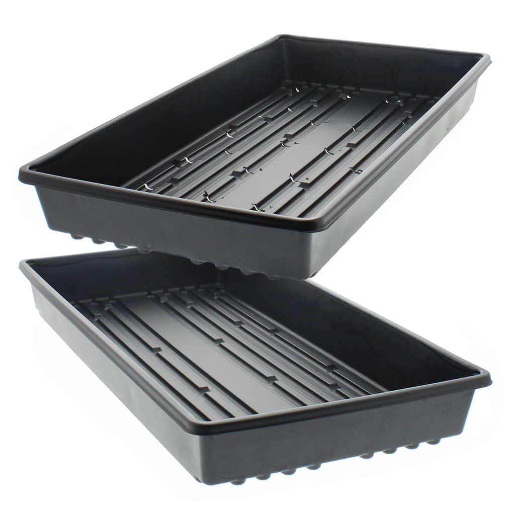 Flat Trays