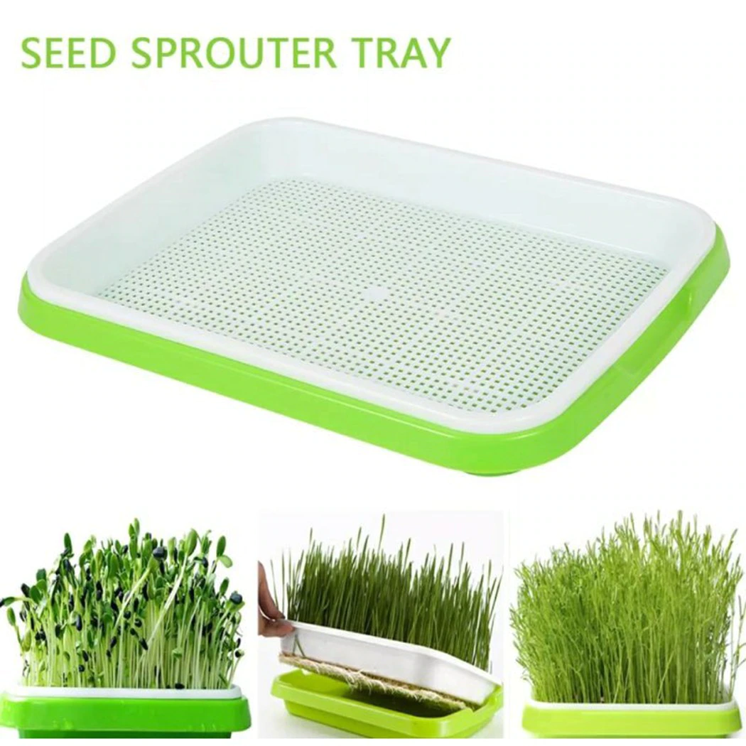 Microgreen Trays